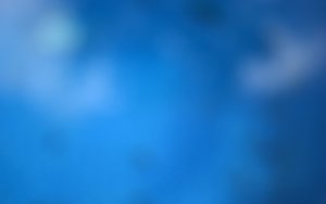多语言支持
